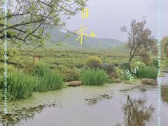 -中国茶叶博物馆(双峰馆区)