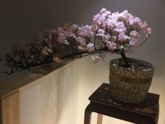 -崇英经络足疗(曲江店)