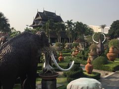 -东芭乐园