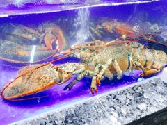 -船家渔(徐州北路店)