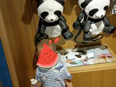 -熊猫屋(宽窄巷子景区店)