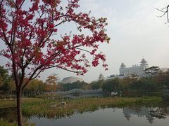 -映月湖公园