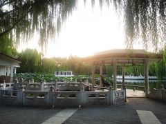 -丰台花园