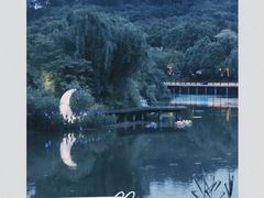 -青山湖景区