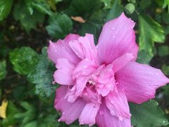 -艾溪湖湿地公园