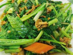 小白菜炒黄蘑-小城家宴