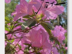 -临平公园(临平街道)