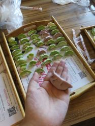 点击看大图 -千禧果月子会所(郑州东站店)