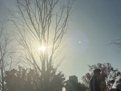 -杭州城北体育公园