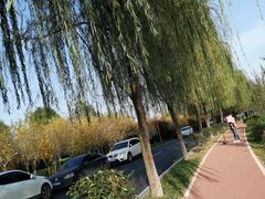 -洨河生态公园