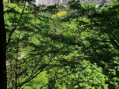 -重庆彩云湖湿地公园