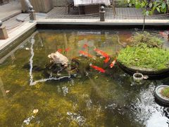 -野蔓果·山野菜(西湖景区·龙井茶田店)