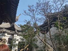 -豫园