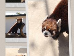 -杭州野生动物世界