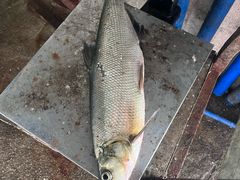 -晶采餐厅(仁化丹霞山店)