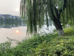 -襄阳古城