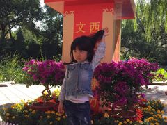 -八大处公园
