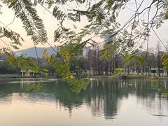 -四海公园(南山区)