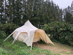 -前小桔亲子创意农场·草莓采摘·露营烧烤