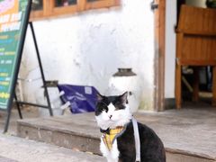 -猫爷的腔调·黔小馆(交大医学住宅区店)