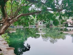 -荔枝公园(福田区)