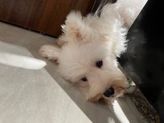 -seeu coffee(江滩店)