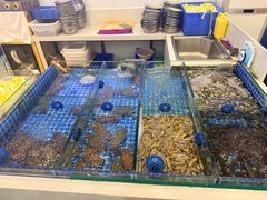 -木木鲜海鲜面(天一店)