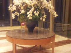 -视界美食自助餐厅·石家庄希尔顿酒店