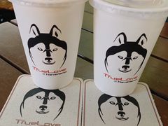 -TrueLove @ Neverland (Husky Cafe)
