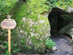 -汤旺河林海奇石景区