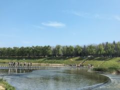 -洨河生态公园