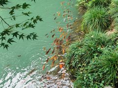 -灵栖洞天