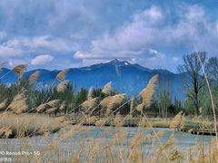-野鸭湖国家湿地公园