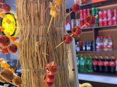 -杨记齐齐哈尔烤肉(总店)