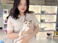 -lincat·猫舍(广州店)