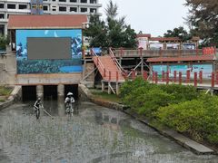 -北海金海湾红树林生态旅游区