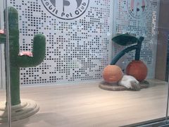 -BABIT巴比特宠物(MOMOPARK店)