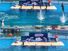 -秦皇岛乐岛海洋王国