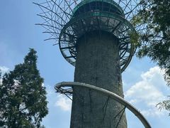 -黄海国家森林公园