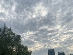 -水岸扬泰·东台鱼汤面(锦延路店)