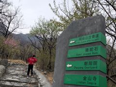 -阳台山自然风景区