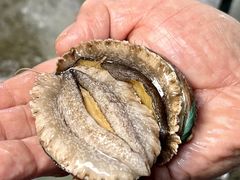 -海之鲜大排档(东山海鲜金銮湾店)