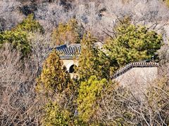 -白水寺森林公园