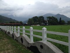 -瑞穗牧场