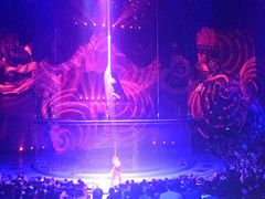 -珠海横琴长隆《卡卡虎奇遇记》