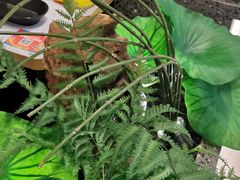 -新辣道鱼火锅(航天万源店)