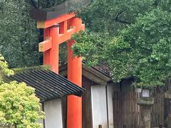 -奈良公园