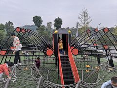 -枫香湖儿童公园