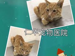 -仁华宠物医院(青羊店)