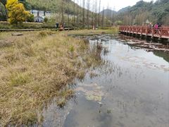 -广州市石门国家森林公园